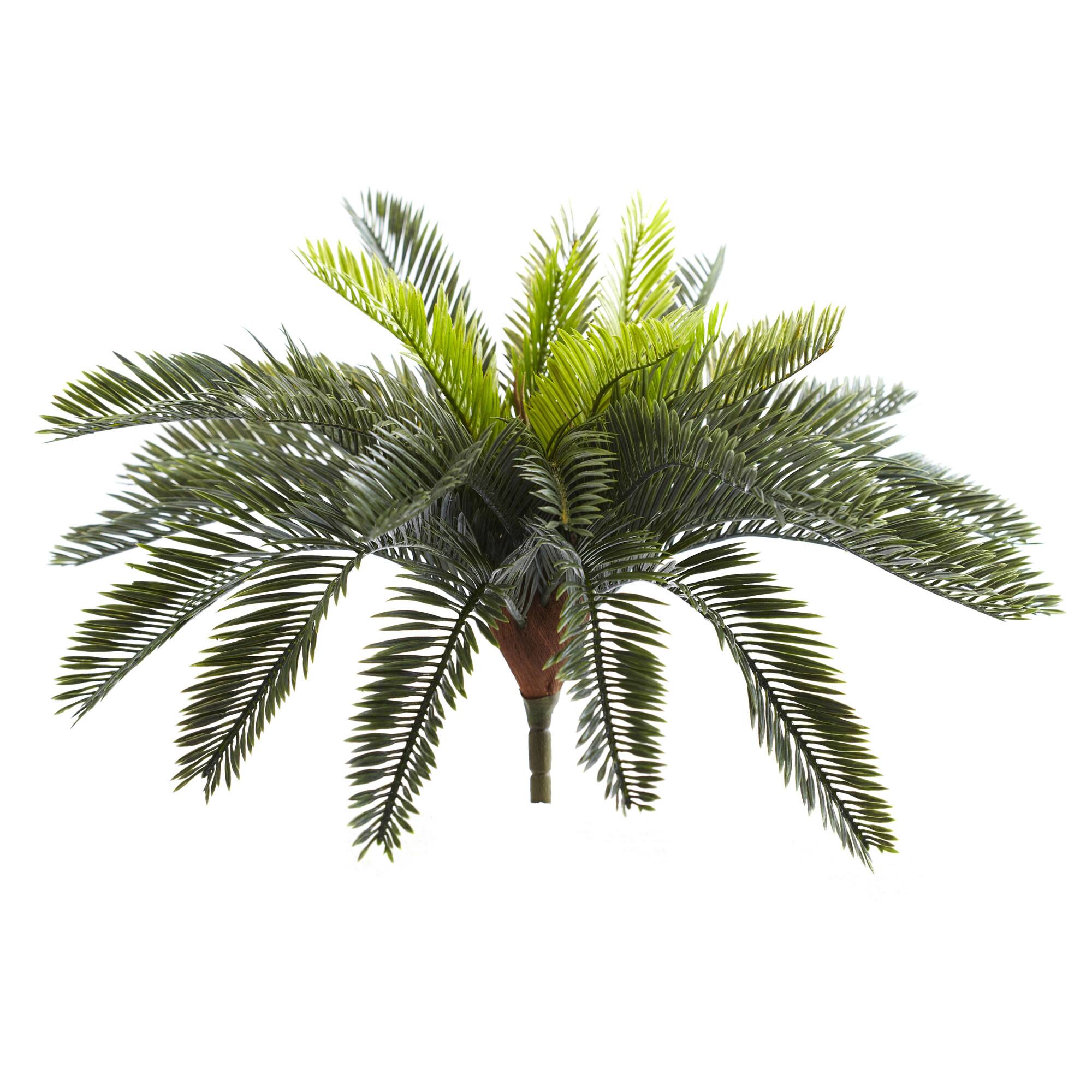 Green Cycas Pick, 2ct.